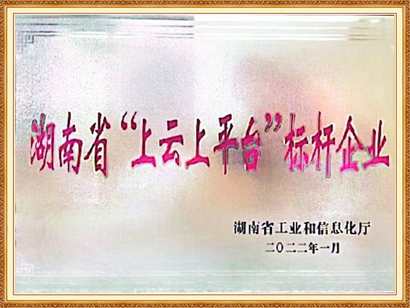 湖南省“上云上平台”标杆企业